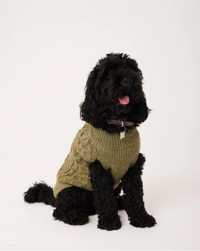 🐶 Quatre marques pour habiller son chien en hiver (avec style) - EU//GENE