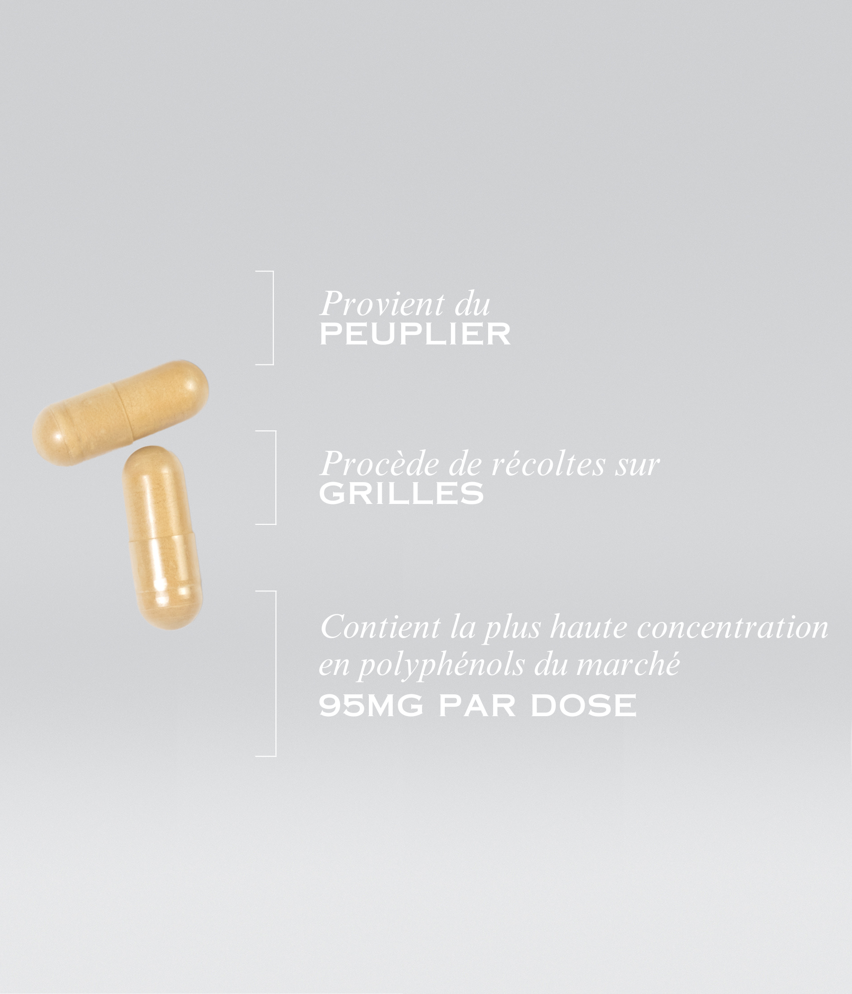 Vitamines et compléments alimentaires Apicia