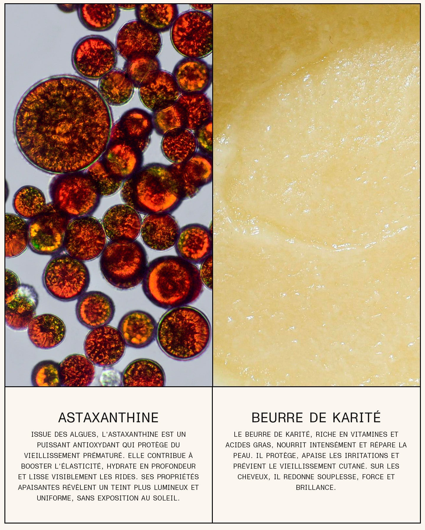 Soin Concentré Eclo