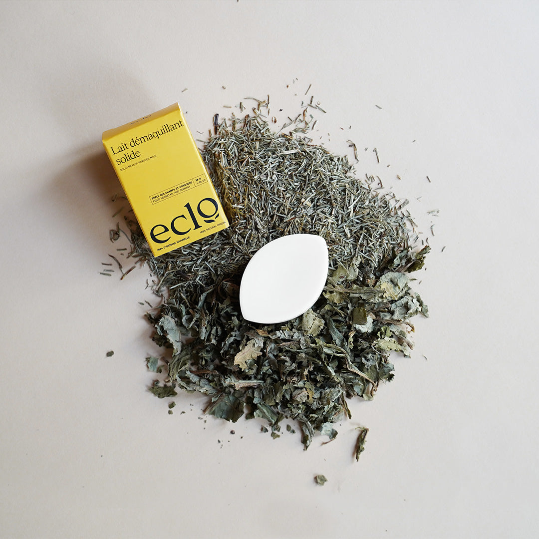 Lait démaquillant Eclo