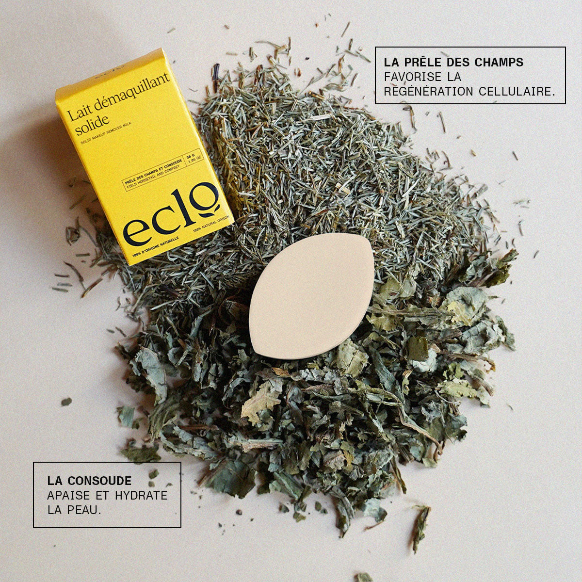 Lait démaquillant Eclo